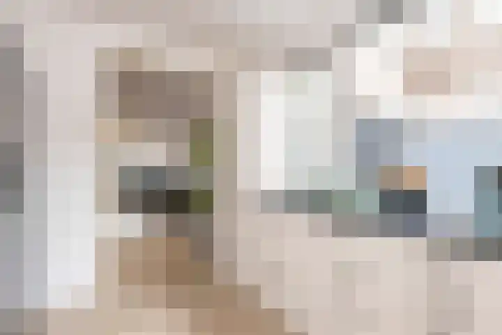 Deken Botsstraat 6 Tilburg thumbnail 16