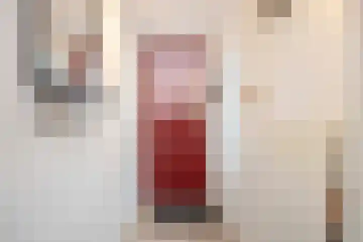Deken Botsstraat 6 Tilburg thumbnail 18