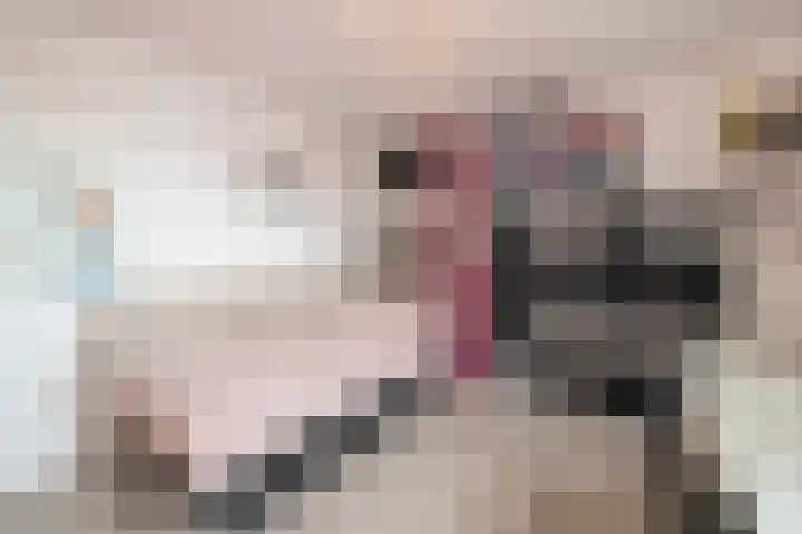 Deken Botsstraat 6 Tilburg thumbnail 28