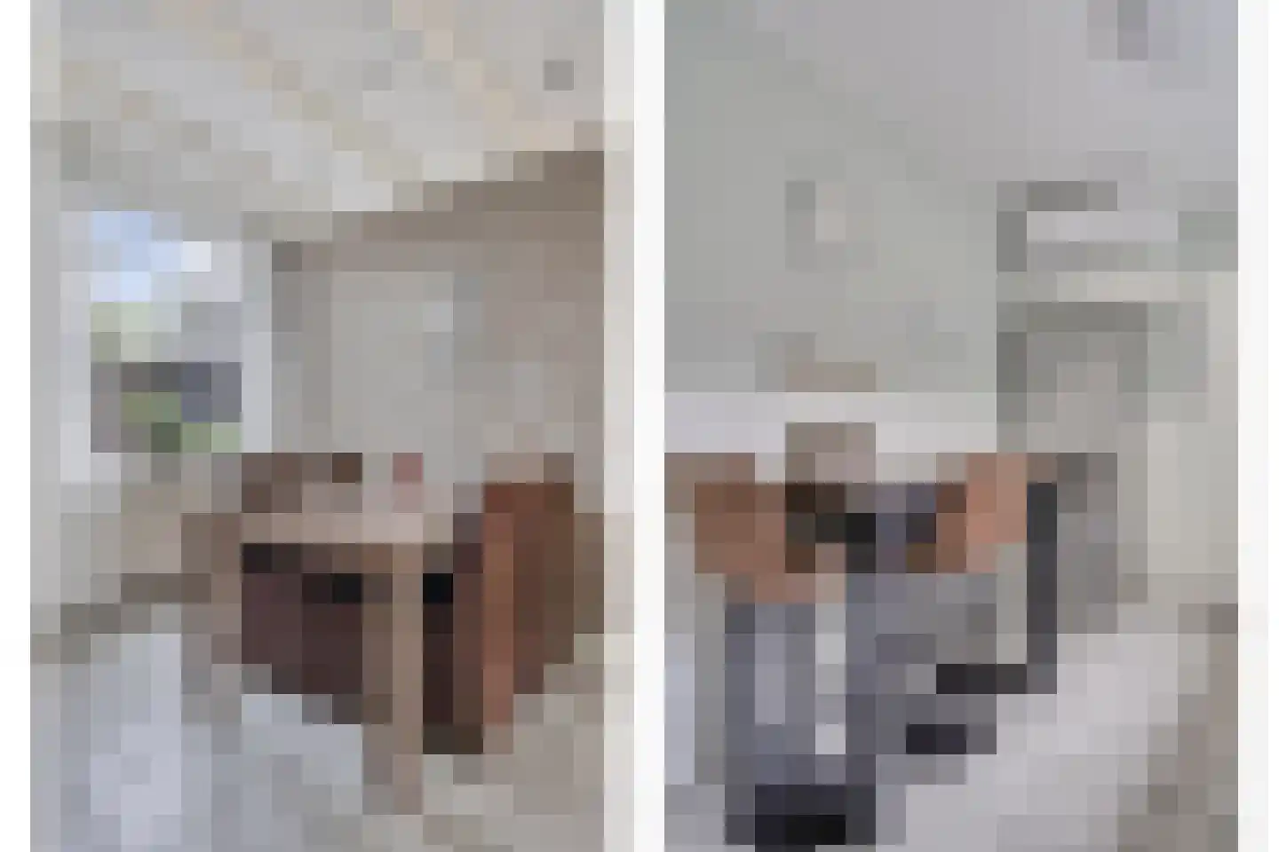 Deken Botsstraat 8 Tilburg thumbnail 12