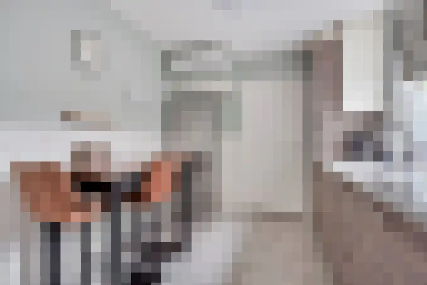 Deken Botsstraat 8 Tilburg thumbnail 13