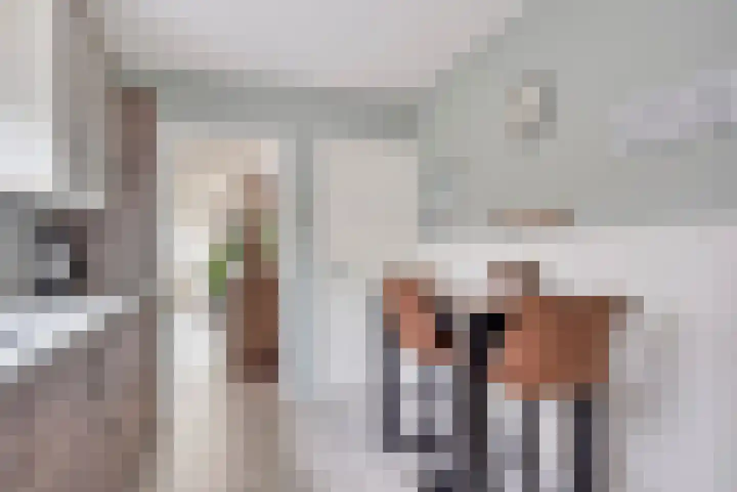 Deken Botsstraat 8 Tilburg thumbnail 14