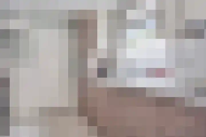 Deken Botsstraat 8 Tilburg thumbnail 15