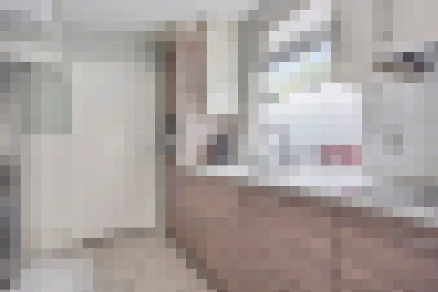 Deken Botsstraat 8 Tilburg thumbnail 15
