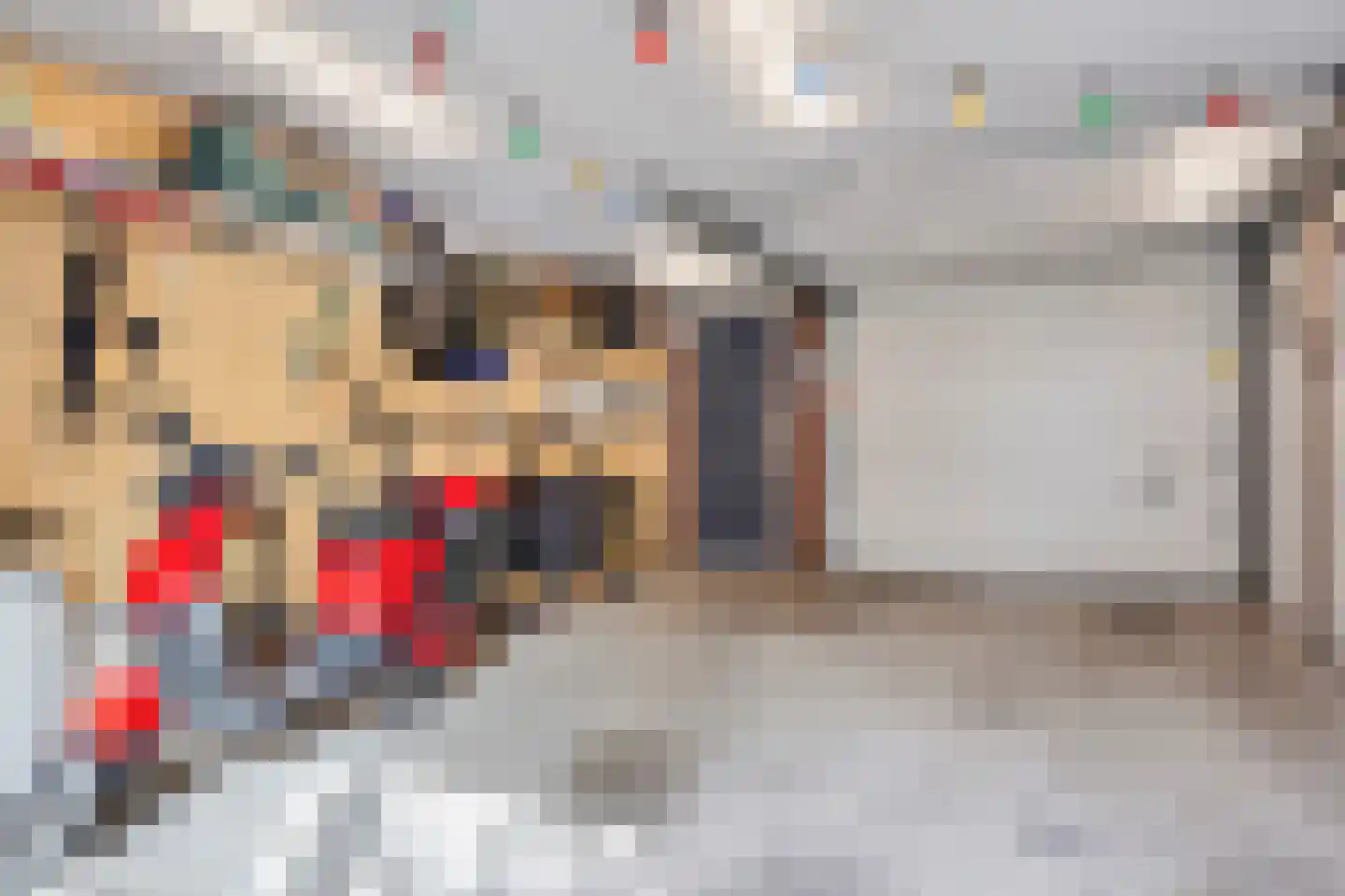 Deken Botsstraat 8 Tilburg thumbnail 34