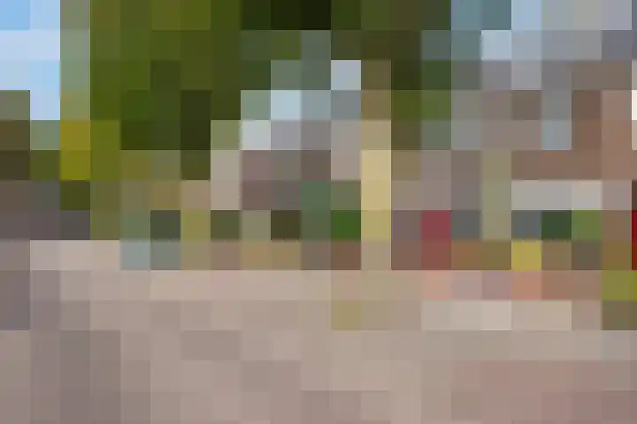 Deken Botsstraat 8 Tilburg thumbnail 38