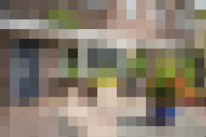 Deken Botsstraat 8 Tilburg thumbnail 4