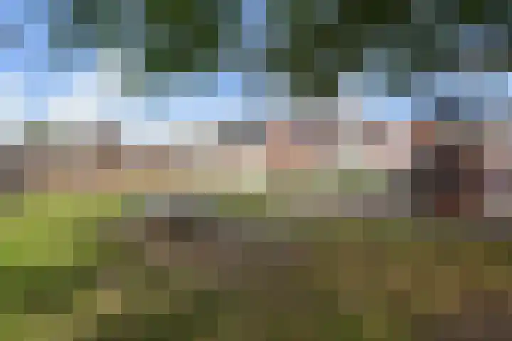 Deken Botsstraat 8 Tilburg thumbnail 41