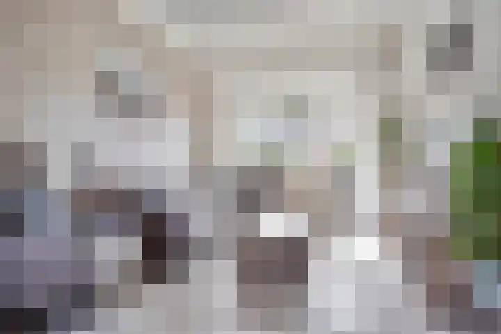 Deken Botsstraat 8 Tilburg thumbnail 5
