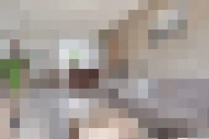 Deken Botsstraat 8 Tilburg thumbnail 6