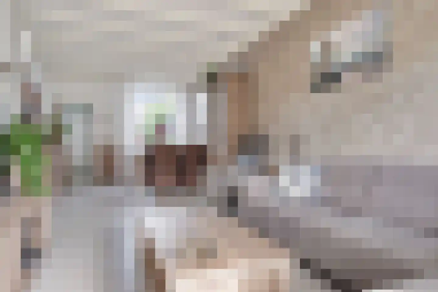 Deken Botsstraat 8 Tilburg thumbnail 6