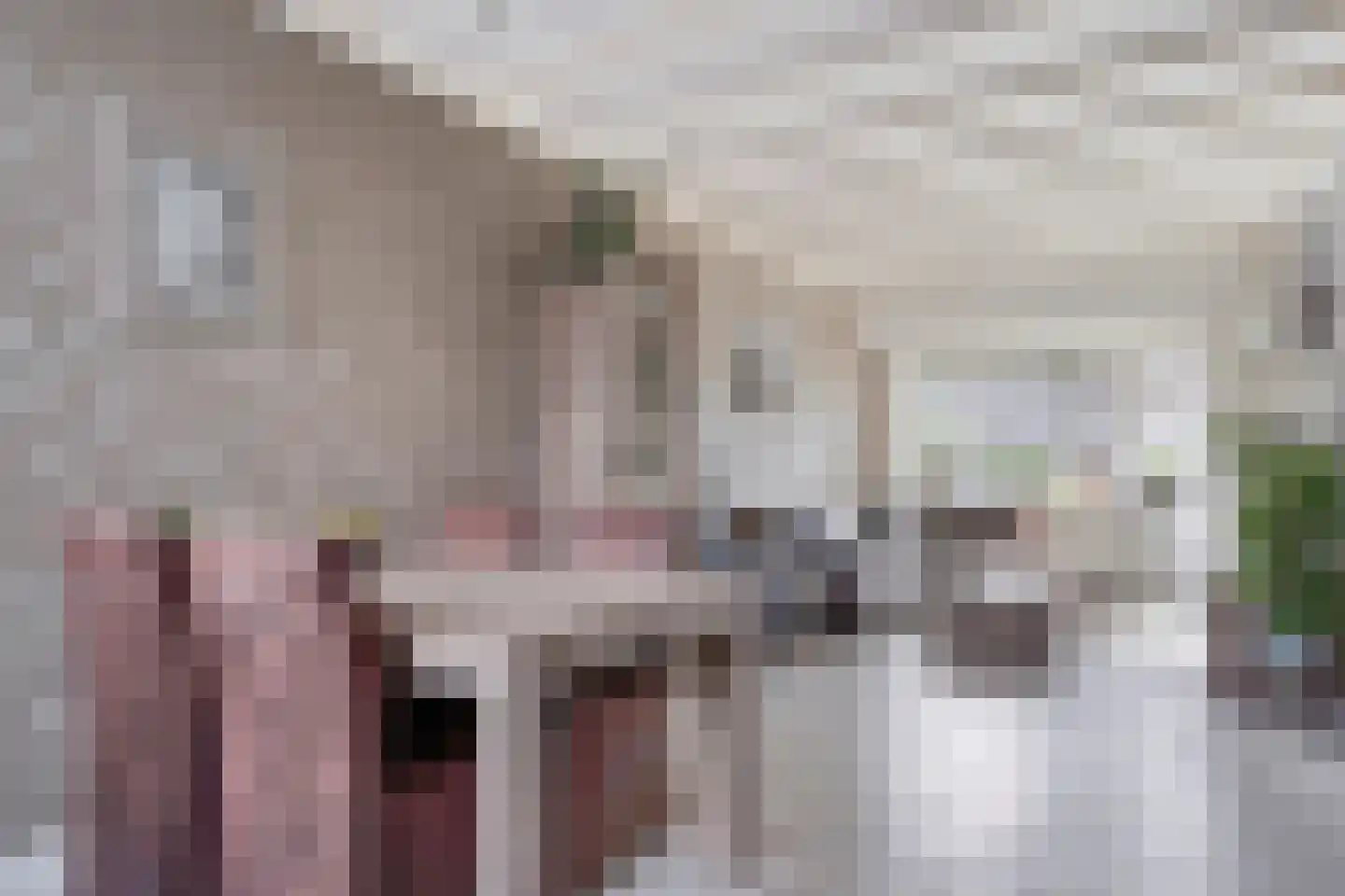 Deken Botsstraat 8 Tilburg thumbnail 7