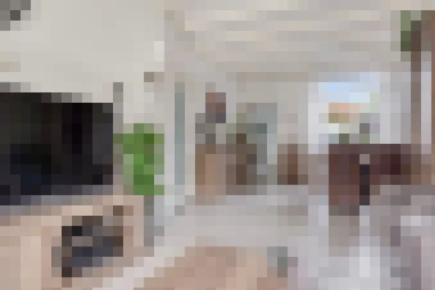 Deken Botsstraat 8 Tilburg thumbnail 8