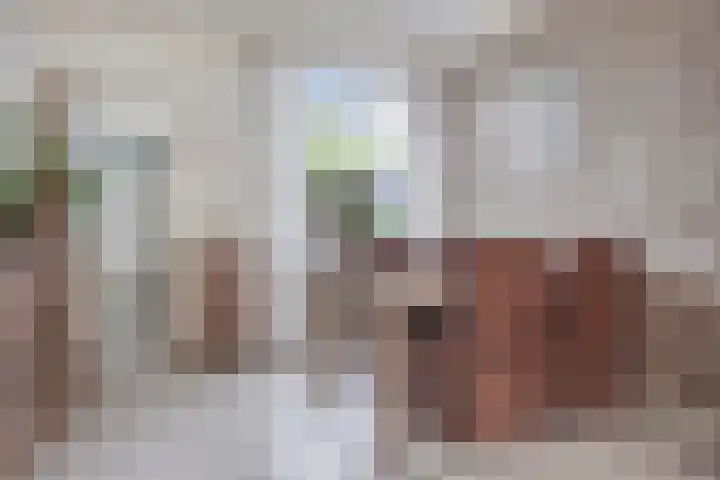 Deken Botsstraat 8 Tilburg thumbnail 9
