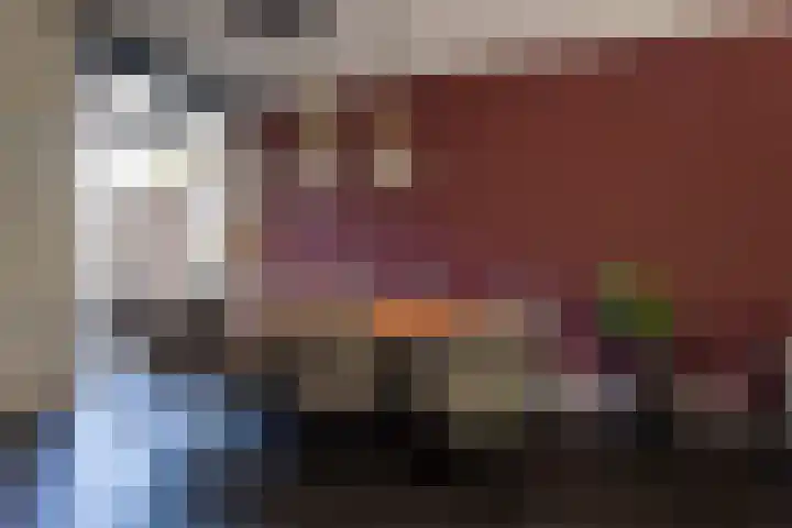 Deken Botsstraat 9 Tilburg thumbnail 10