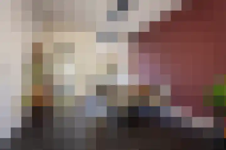 Deken Botsstraat 9 Tilburg thumbnail 14