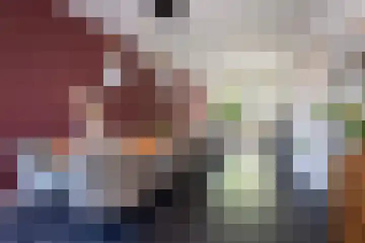 Deken Botsstraat 9 Tilburg thumbnail 15