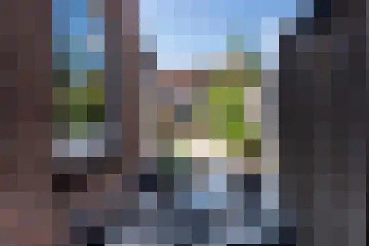 Deken Botsstraat 9 Tilburg thumbnail 35