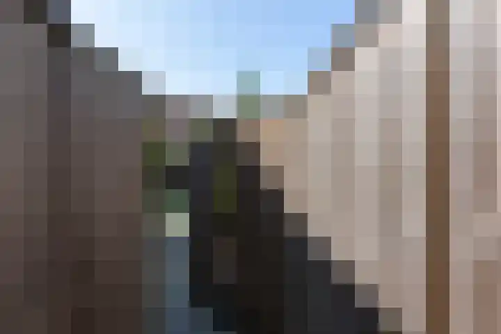 Deken Botsstraat 9 Tilburg thumbnail 39