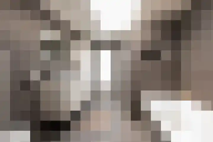 Deken Botsstraat 9 Tilburg thumbnail 4