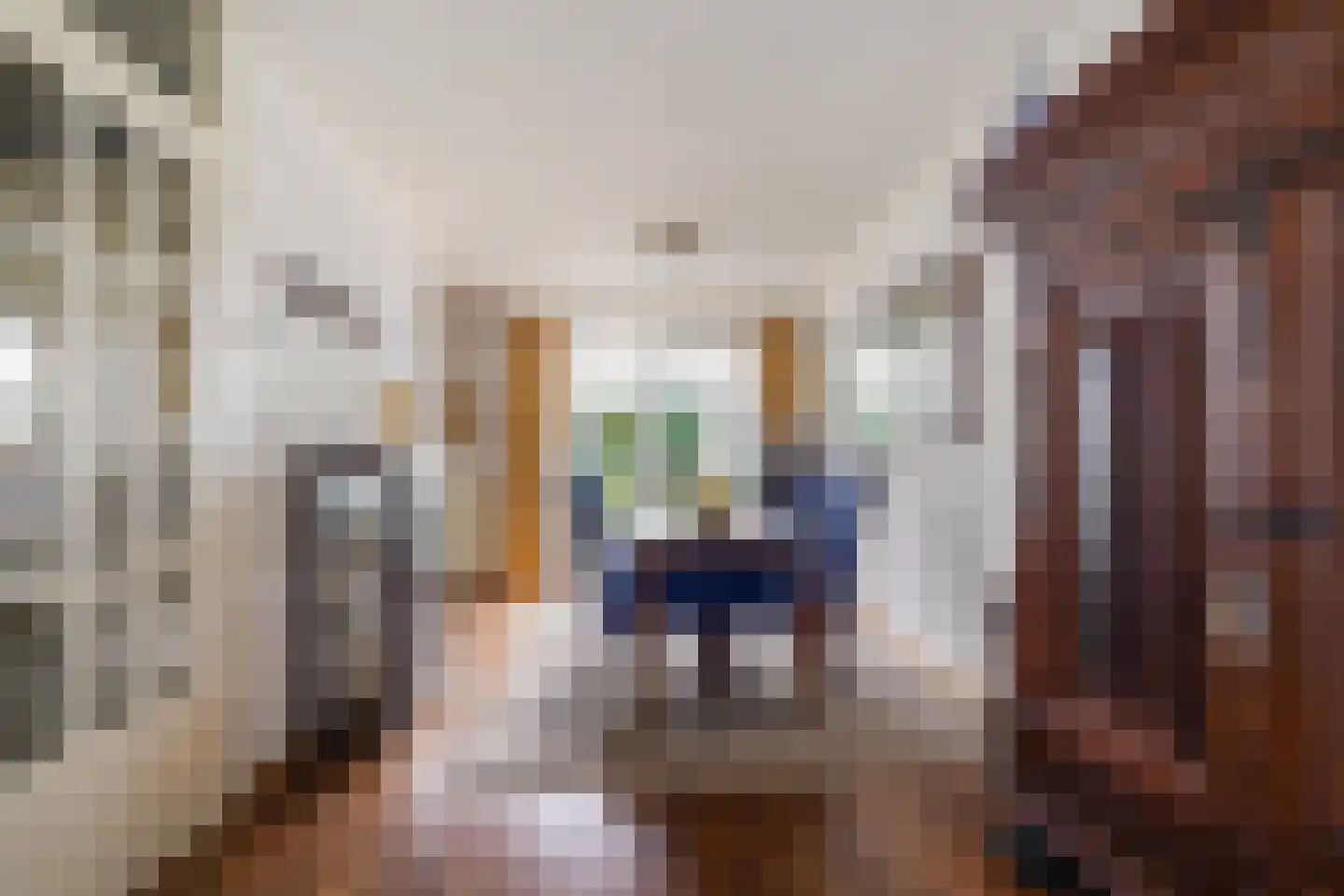 Deken Broekmanlaan 6 Boxtel thumbnail 15