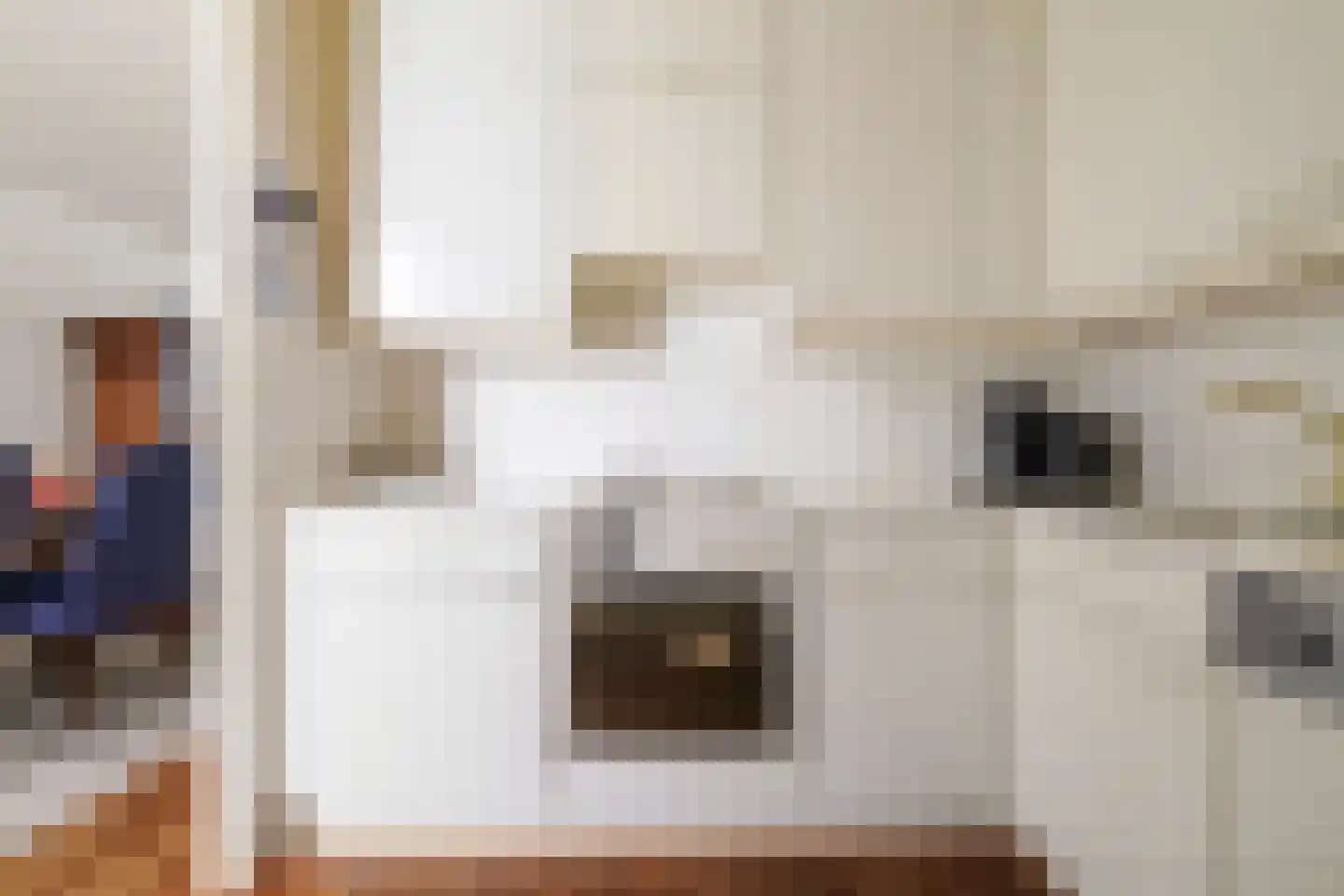 Deken Broekmanlaan 6 Boxtel thumbnail 18