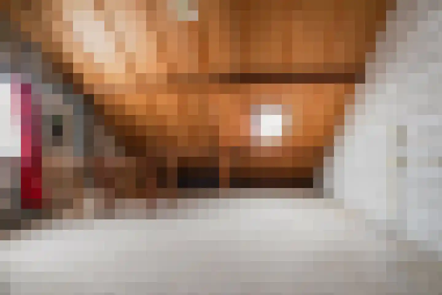 Deken Broekmanlaan 6 Boxtel thumbnail 34