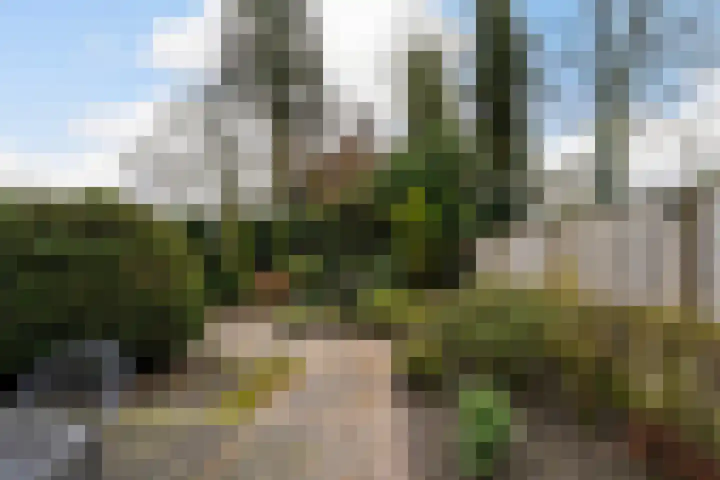 Deken Broekmanlaan 6 Boxtel thumbnail 37