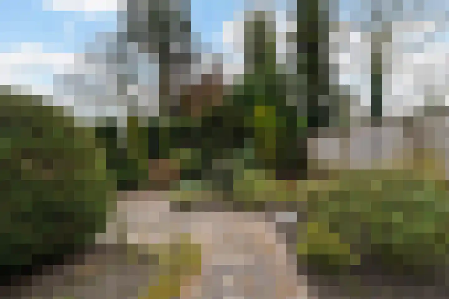 Deken Broekmanlaan 6 Boxtel thumbnail 39