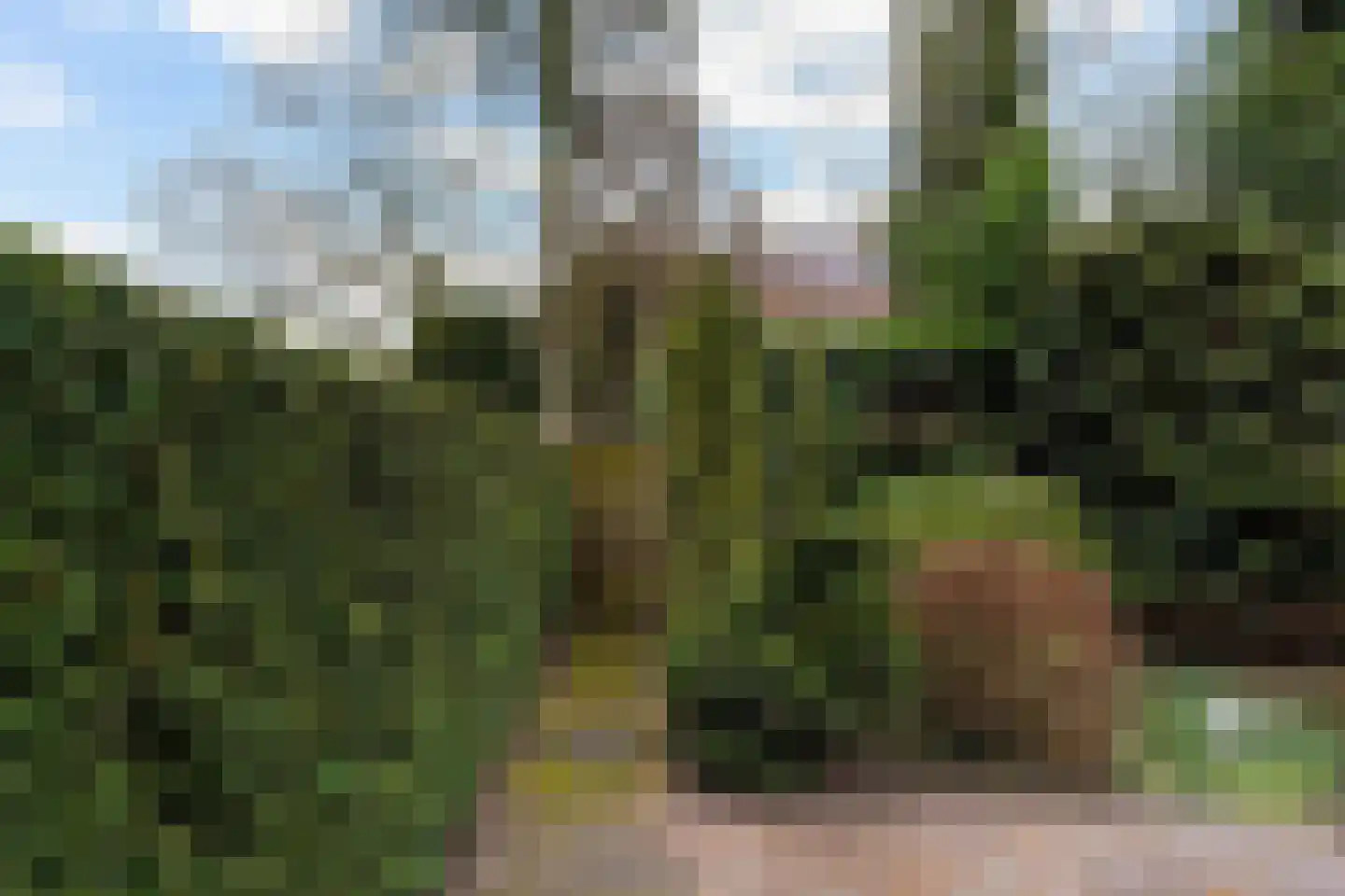 Deken Broekmanlaan 6 Boxtel thumbnail 41