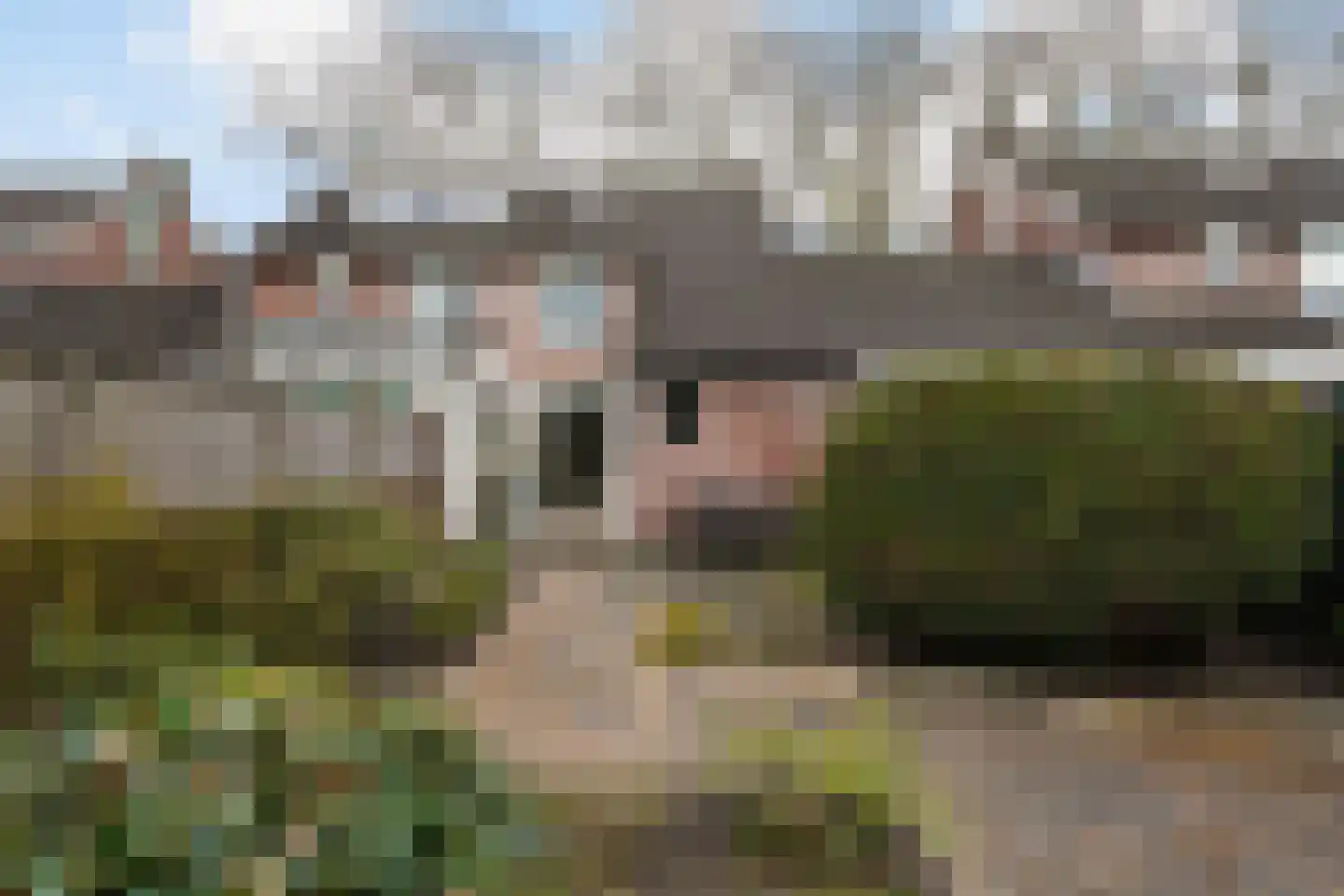 Deken Broekmanlaan 6 Boxtel thumbnail 42