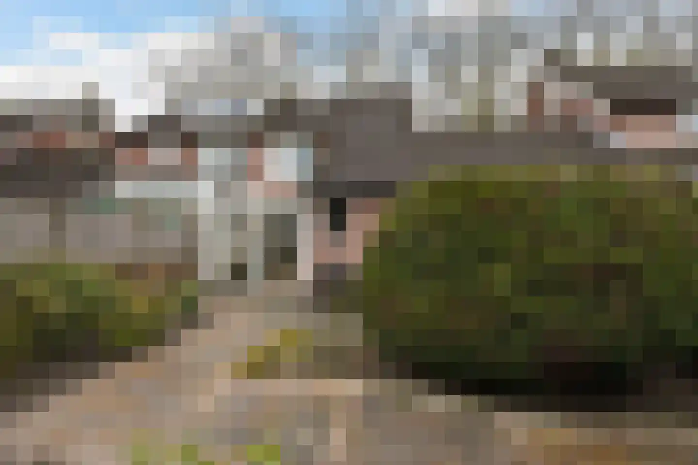 Deken Broekmanlaan 6 Boxtel thumbnail 43