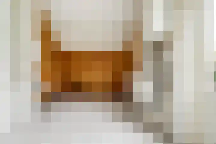 Deken Cauthalsstraat 1 Hilvarenbeek thumbnail 12