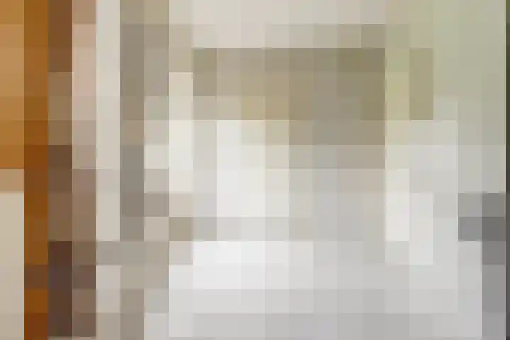 Deken Cauthalsstraat 1 Hilvarenbeek thumbnail 14