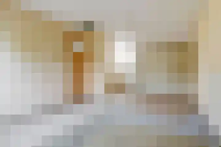 Deken Cauthalsstraat 1 Hilvarenbeek thumbnail 17