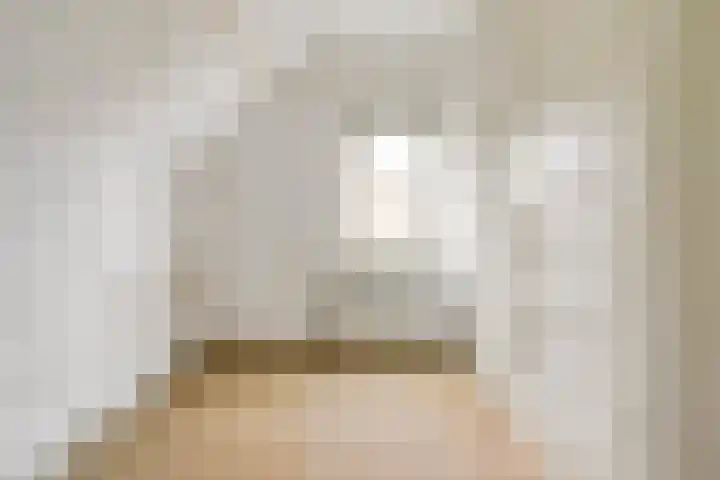Deken Cauthalsstraat 1 Hilvarenbeek thumbnail 18