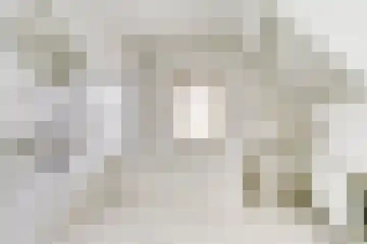 Deken Cauthalsstraat 1 Hilvarenbeek thumbnail 20