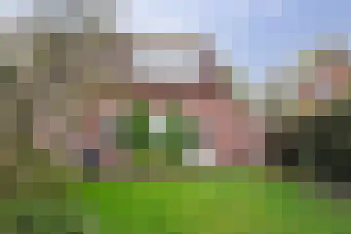 Deken Cauthalsstraat 1 Hilvarenbeek thumbnail 22