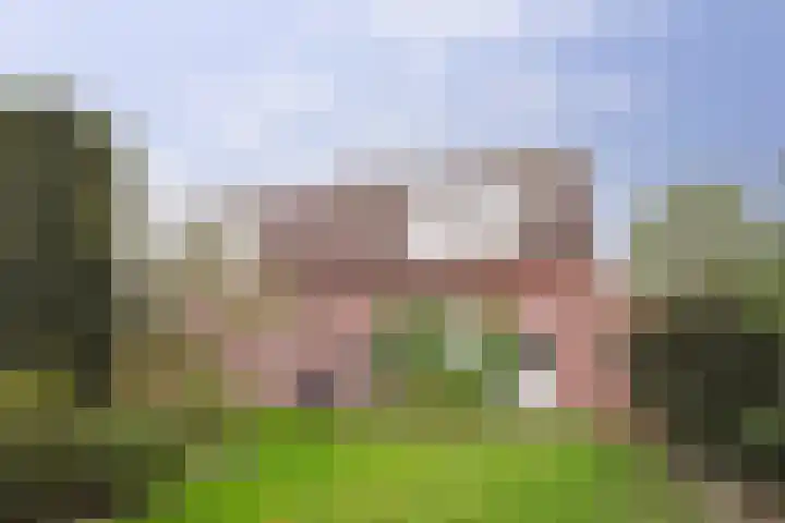 Deken Cauthalsstraat 1 Hilvarenbeek thumbnail 23