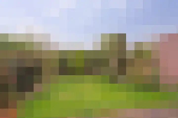 Deken Cauthalsstraat 1 Hilvarenbeek thumbnail 24