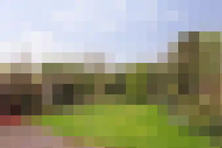 Deken Cauthalsstraat 1 Hilvarenbeek thumbnail 25