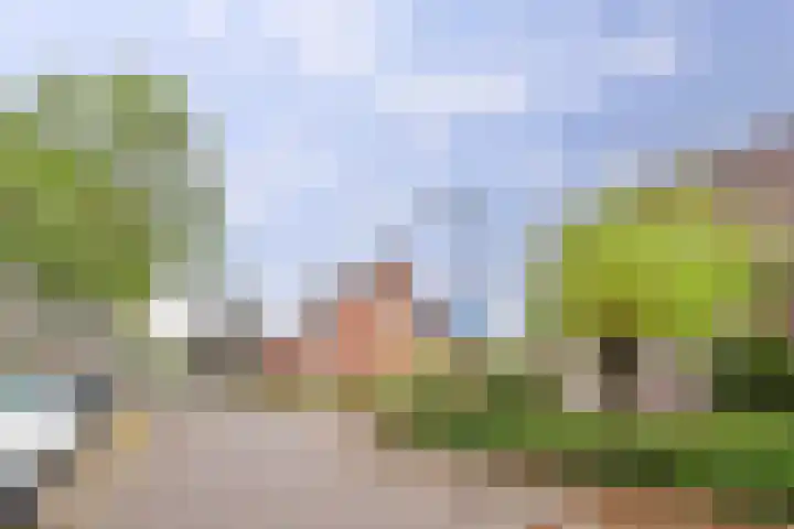 Deken Cauthalsstraat 1 Hilvarenbeek thumbnail 26