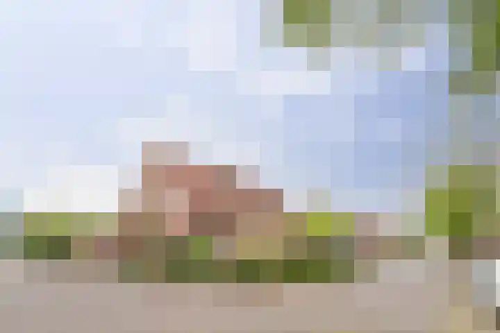 Deken Cauthalsstraat 1 Hilvarenbeek thumbnail 27