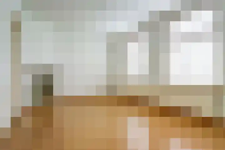 Deken Cauthalsstraat 1 Hilvarenbeek thumbnail 5