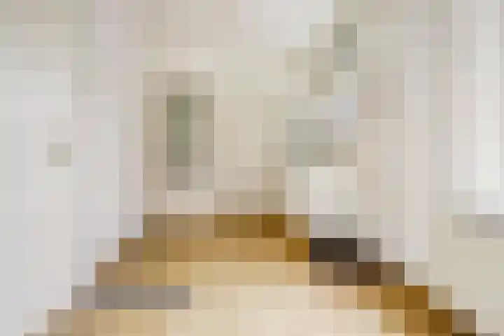 Deken Cauthalsstraat 1 Hilvarenbeek thumbnail 8