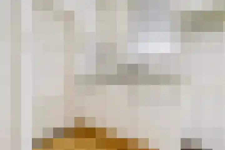 Deken Cauthalsstraat 1 Hilvarenbeek thumbnail 9