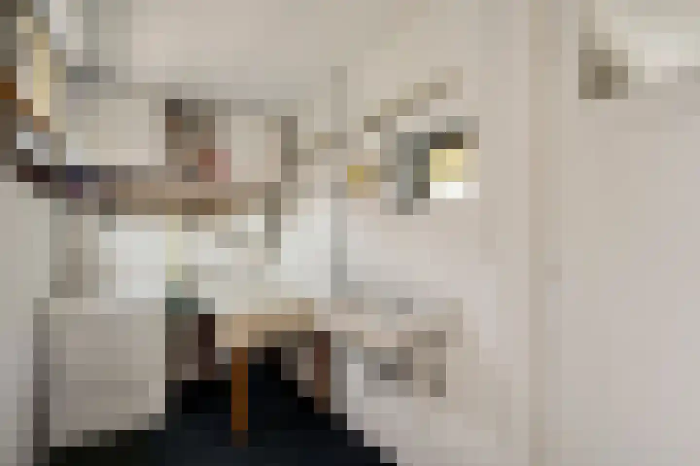 Deken Creemersstraat 49 Horst thumbnail 18