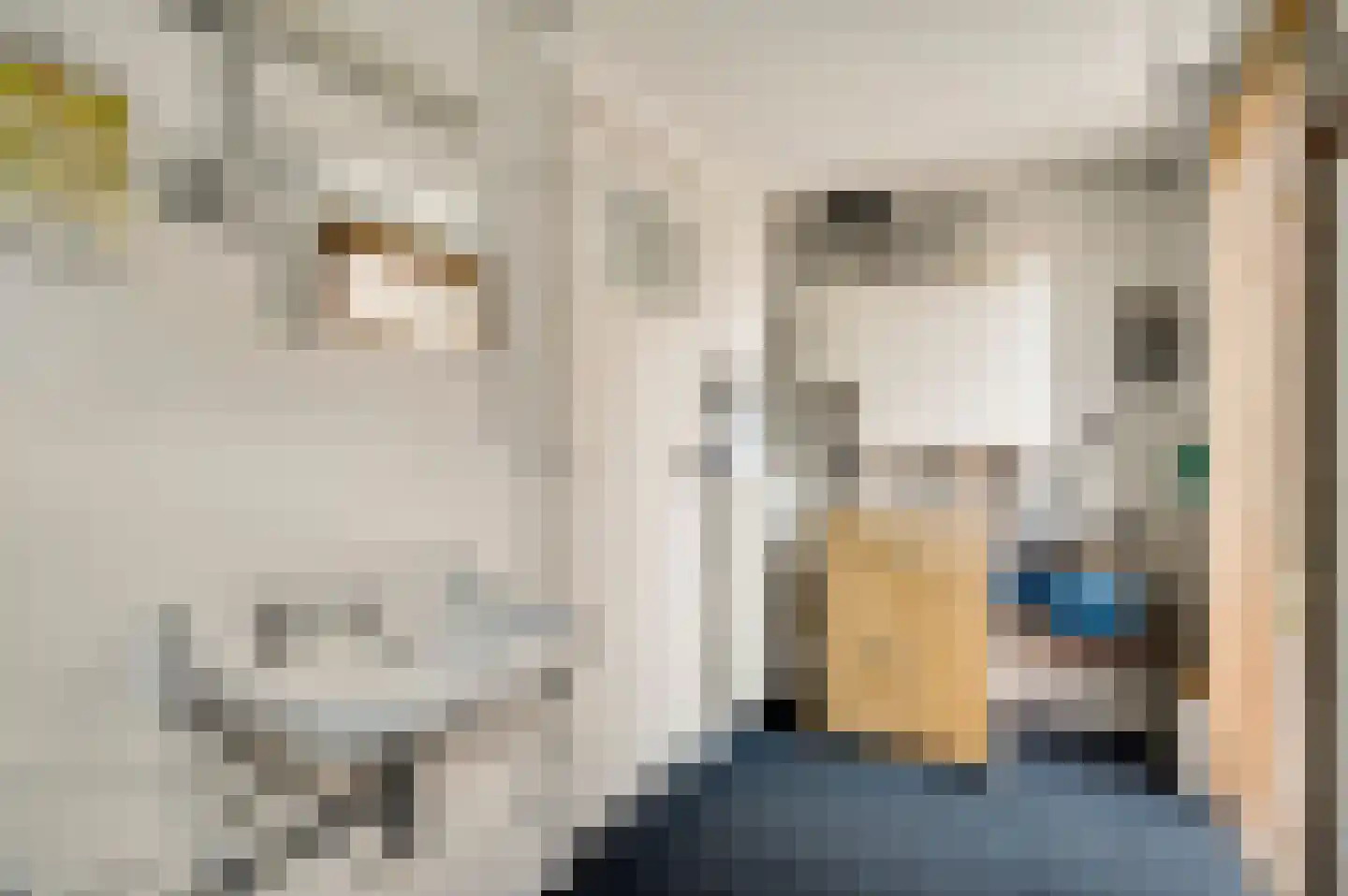 Deken Creemersstraat 49 Horst thumbnail 19