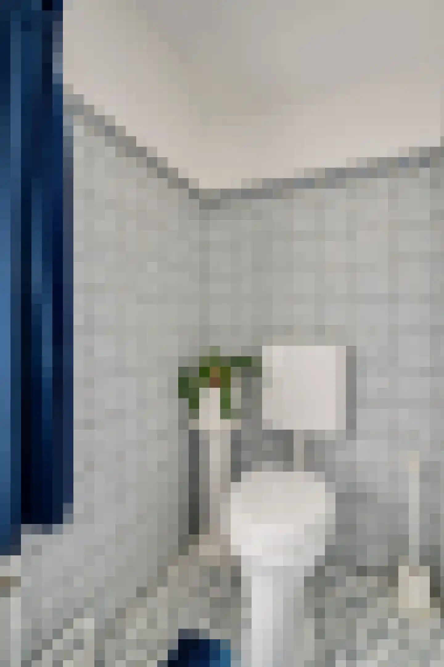 Deken Creemersstraat 49 Horst thumbnail 28