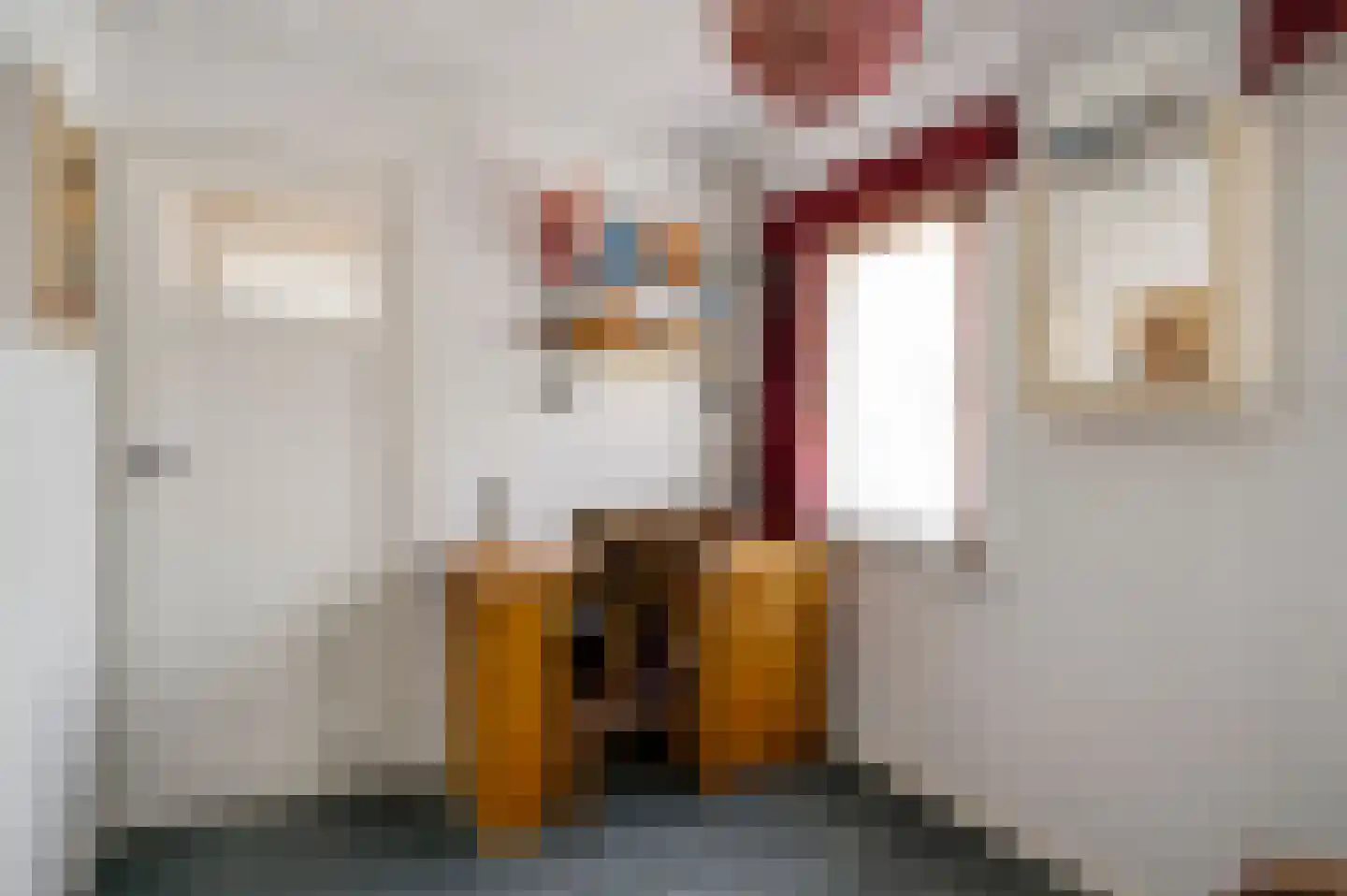 Deken Creemersstraat 49 Horst thumbnail 32